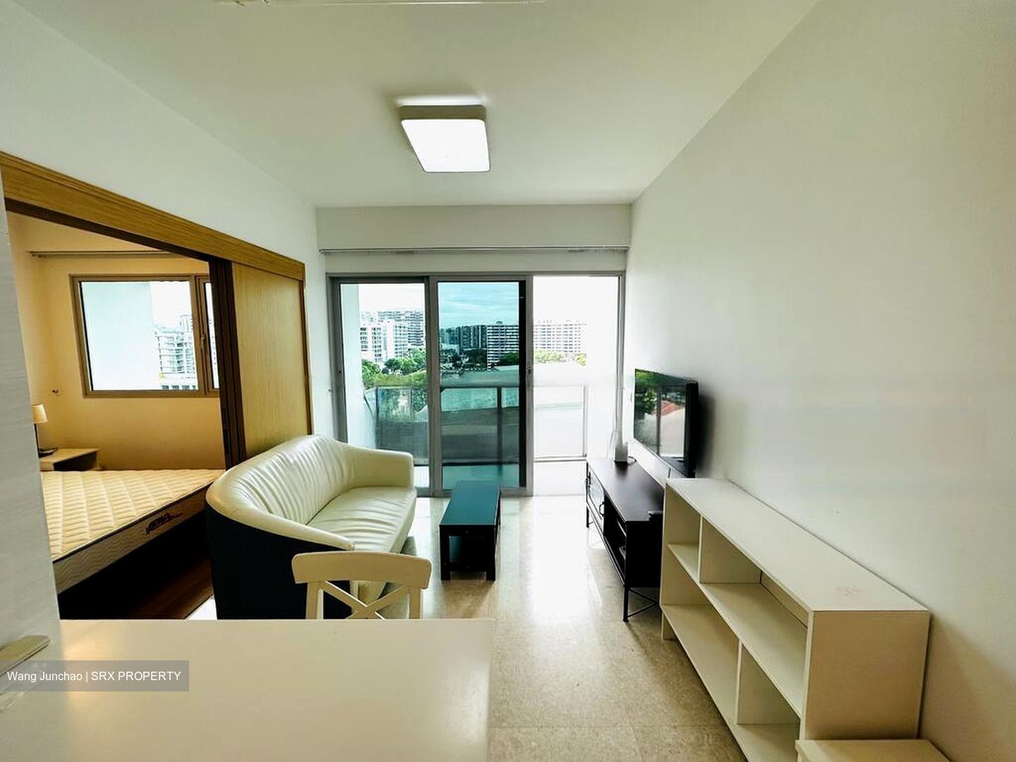 Eight Riversuites (D12), Condominium #496628661